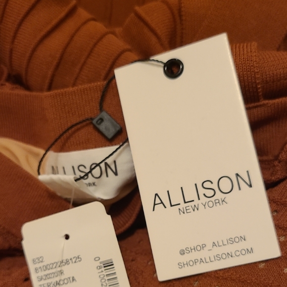 NWT Allison Terracota Brown Sleeveless Dress - Picture 3 of 10